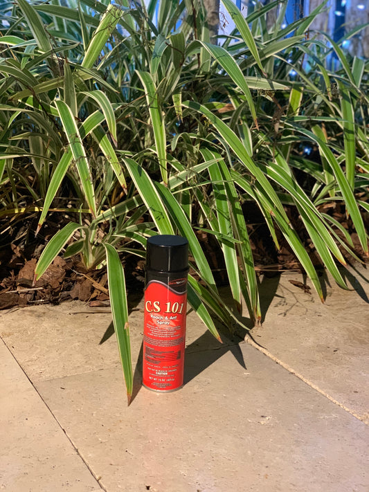 CS 101 CHERRY INSECTICIDE AEROSOL