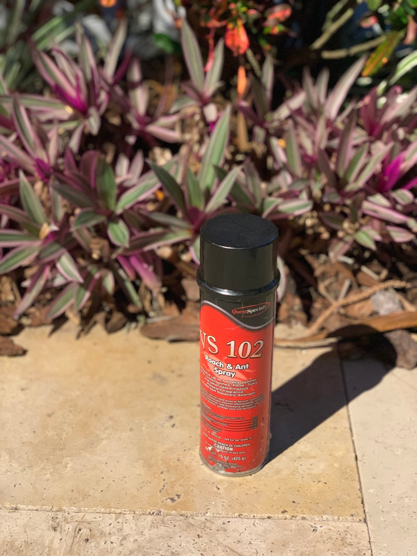 CS 101 CHERRY INSECTICIDE AEROSOL